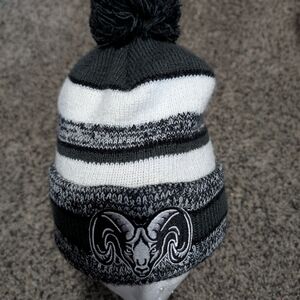 Adult Beanie Embroidered Ram Patch Black Gray White Striped Skatercore Bikercore